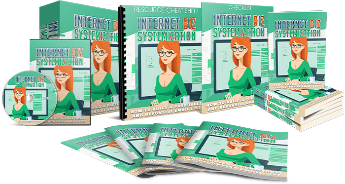 Internet Biz Systemization Course (Audios & Videos)