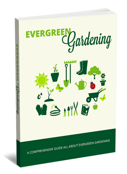 Evergreen Gardening