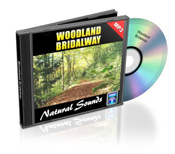 Woodland Bridalway (Audio)