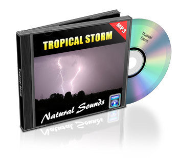 Tropical Storm (Audio)