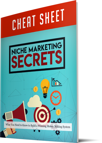 Niche Marketing Secrets (eBooks)