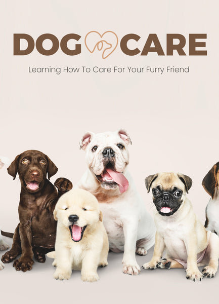 Dog Care (eBooks)