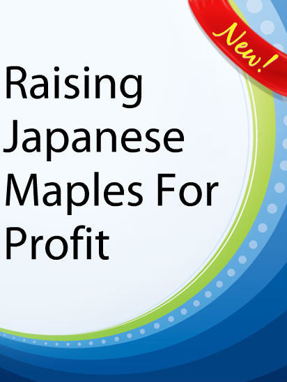 Raising Japanese Maples for Profit  PLR Ebook