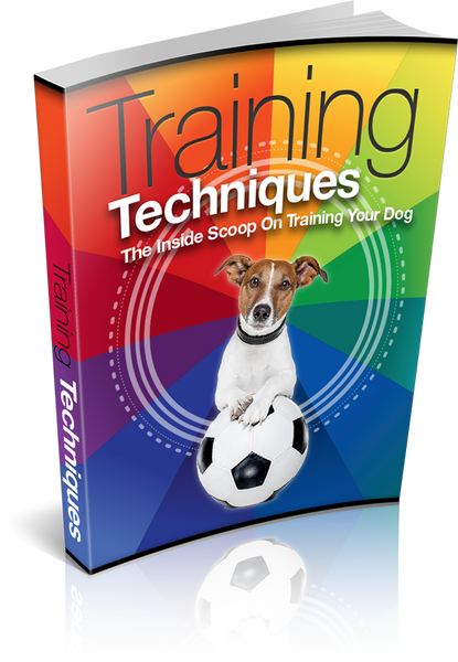 Training Techniques