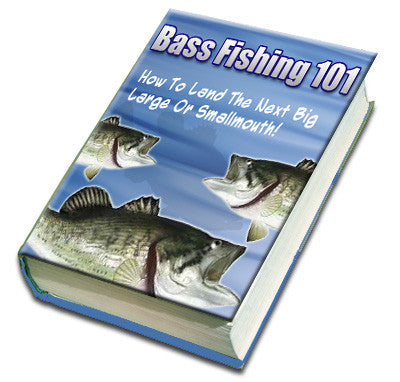 Bass Fishing 101