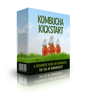 Kombucha Kickstart (eBook)