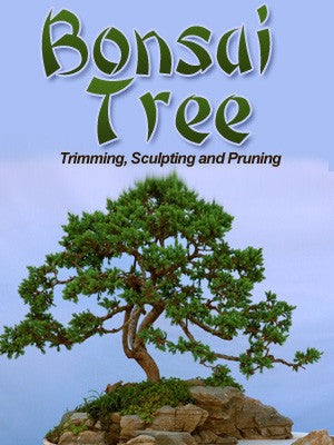 Bonsai Trees