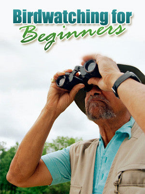 Bird Watching for Beginners