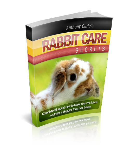 Rabbit Care Secrets