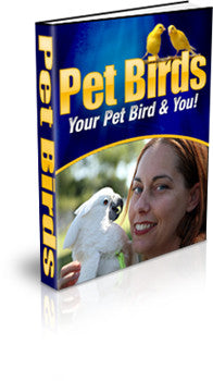 Pet Birds