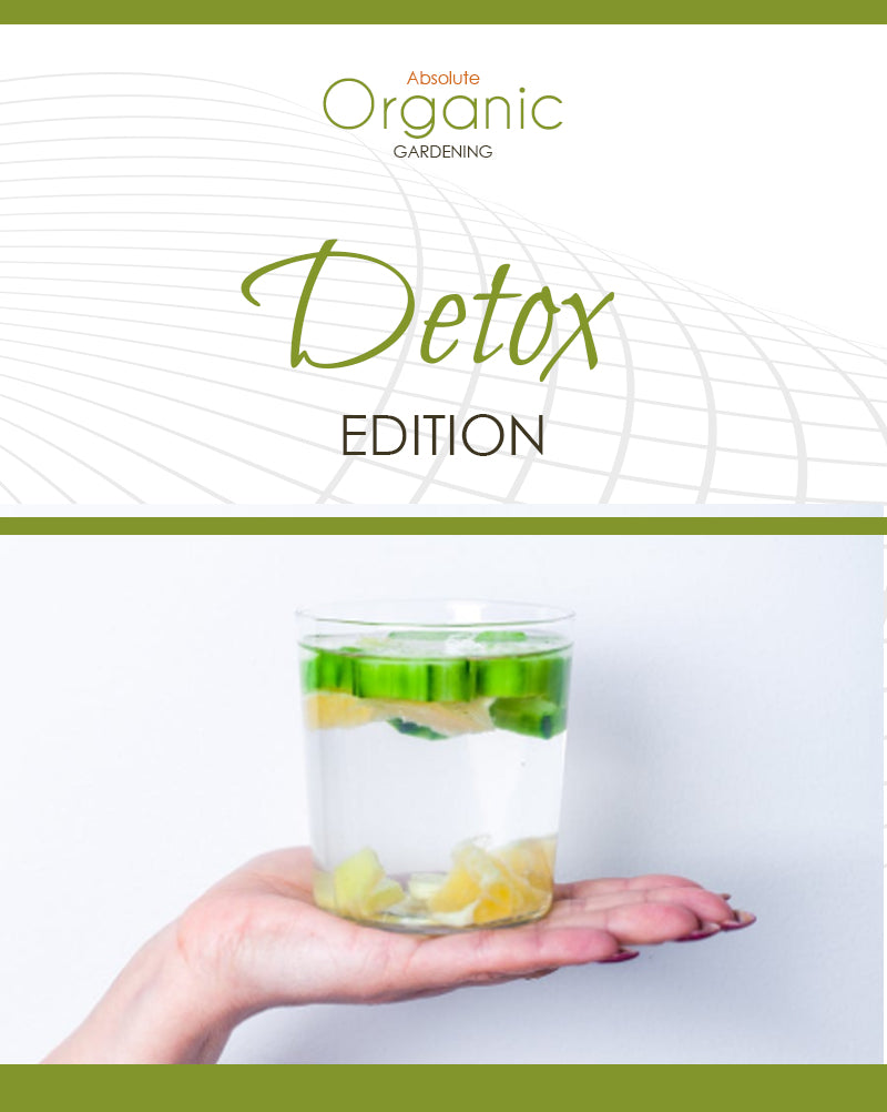 Detox Ultimate Guide (Free eBook)