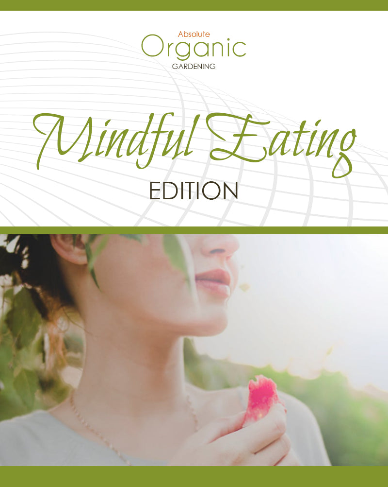 Mindful Eating