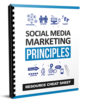 Social Media Marketing Principles (eBooks)